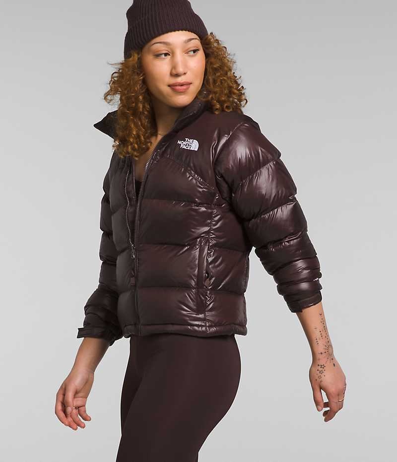 The North Face 2000 Retro Nuptse Dunjakke Dame Brune | DANMARK KXDRE