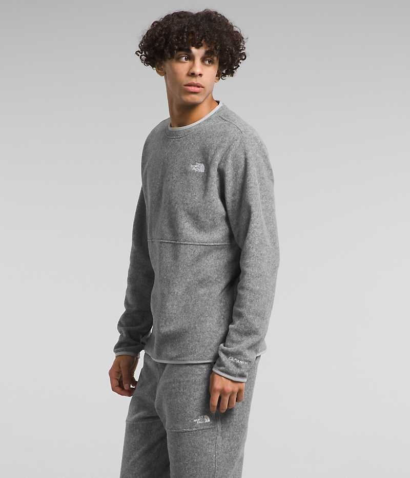 The North Face Alpine Polartec® 100 Crew Pullover Herre Grå | DK BEDMU