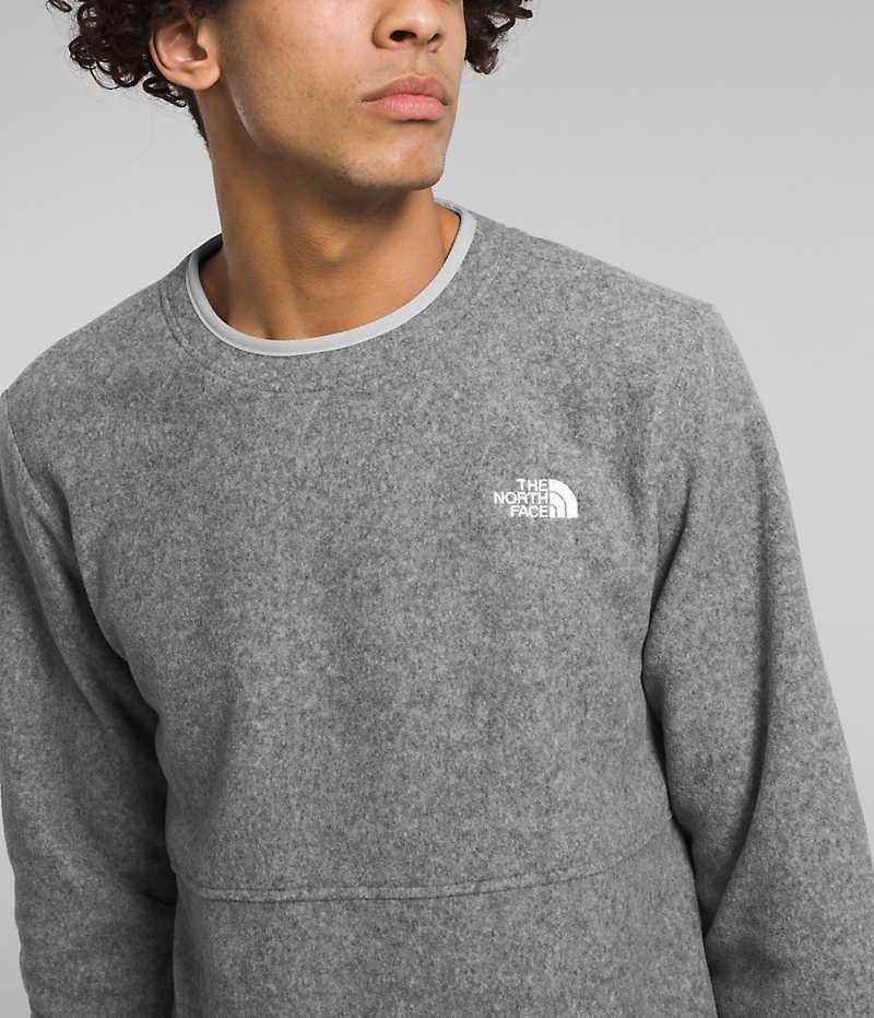 The North Face Alpine Polartec® 100 Crew Pullover Herre Grå | DK BEDMU