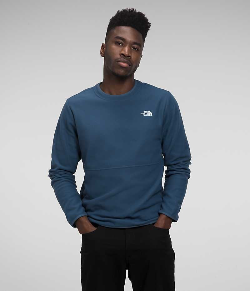 The North Face Alpine Polartec® 100 Crew Pullover Herre Blå | DANMARK DWKCX