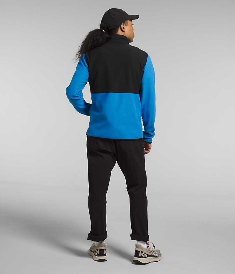 The North Face Alpine Polartec® 100 Fleece Jakker Herre Blå Sort | DK OTUFB