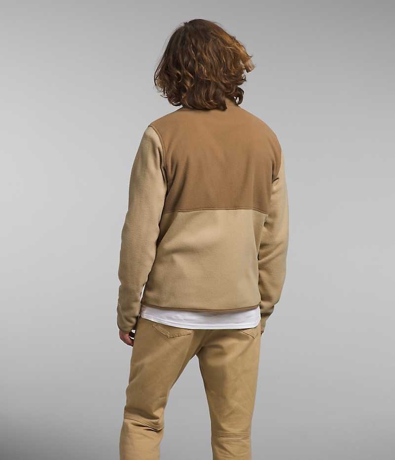 The North Face Alpine Polartec® 100 Fleece Jakker Herre Khaki Brune | DK BLHZQ