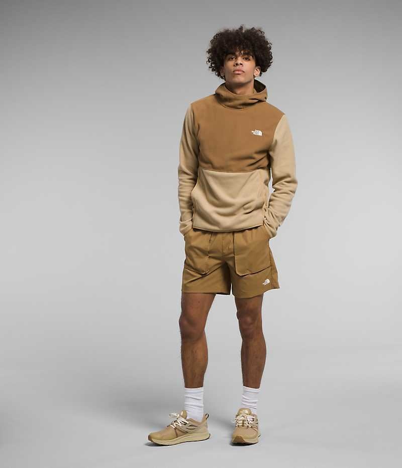 The North Face Alpine Polartec® 100 Pullover Herre Khaki Brune | DK LVTIK