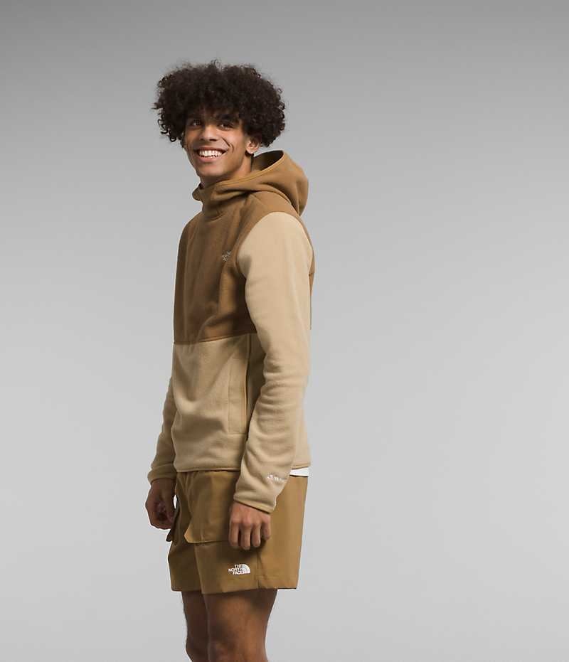 The North Face Alpine Polartec® 100 Pullover Herre Khaki Brune | DK LVTIK