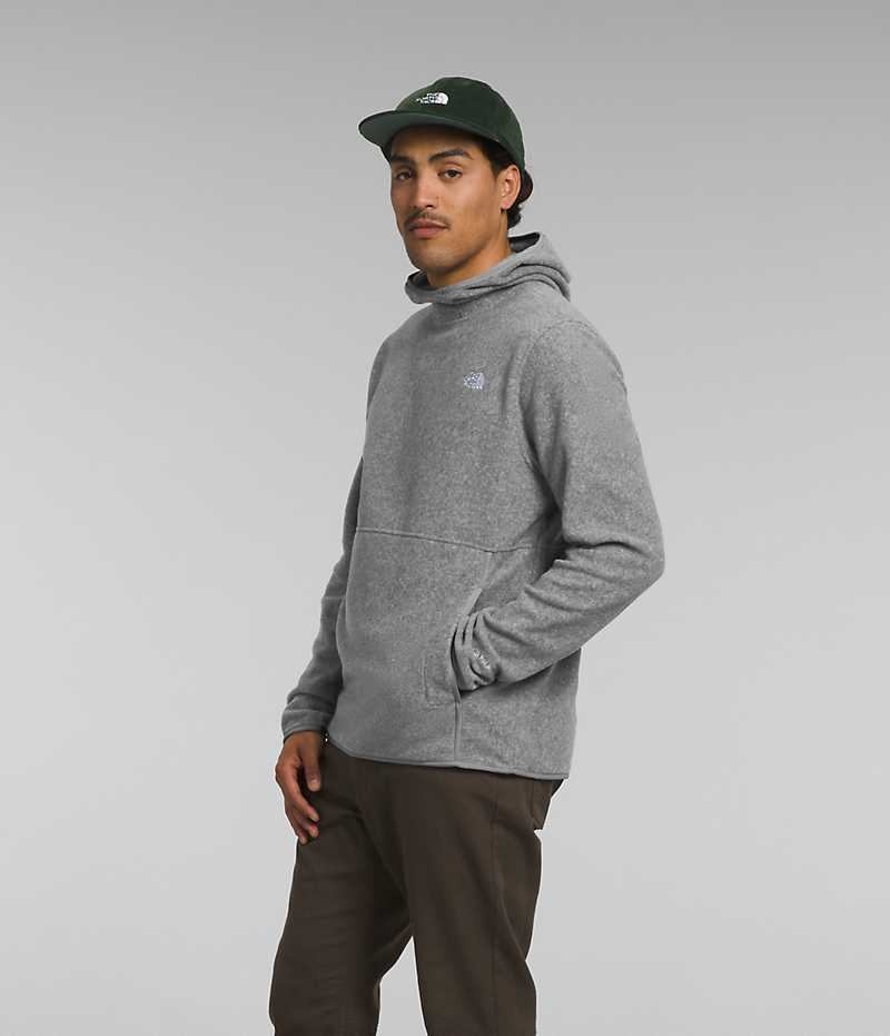 The North Face Alpine Polartec® 100 Pullover Herre Grå | DK HGMOI