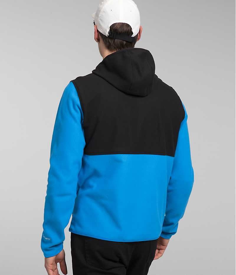 The North Face Alpine Polartec® 100 Pullover Herre Blå Sort | DANMARK WHYUN