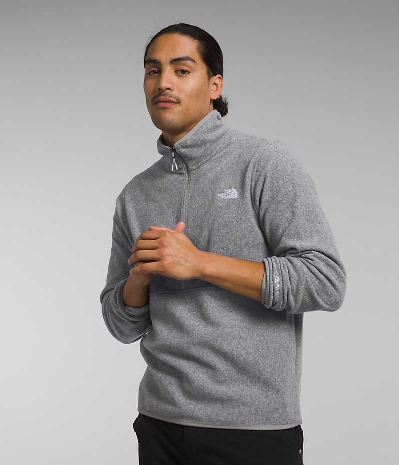 The North Face Alpine Polartec® 100 ½-Zip Pullover Herre Grå | DANMARK QHRCN