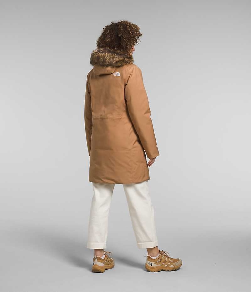 The North Face Arctic Parka Dame Brune | DANMARK CBXZI