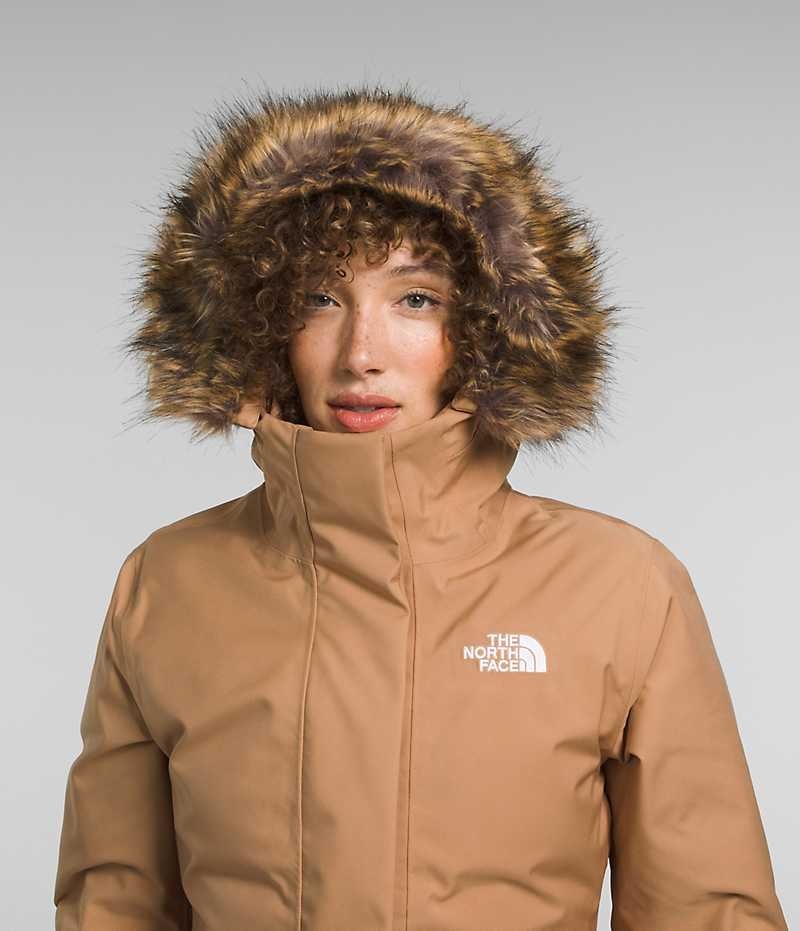 The North Face Arctic Parka Dame Brune | DANMARK CBXZI