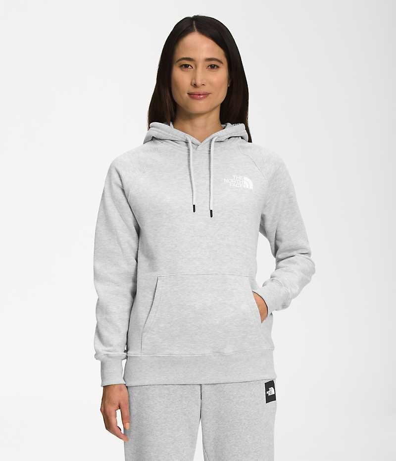 The North Face Box NSE Pullover Hættetrøje Dame Lysegrå | DANMARK OTWXK