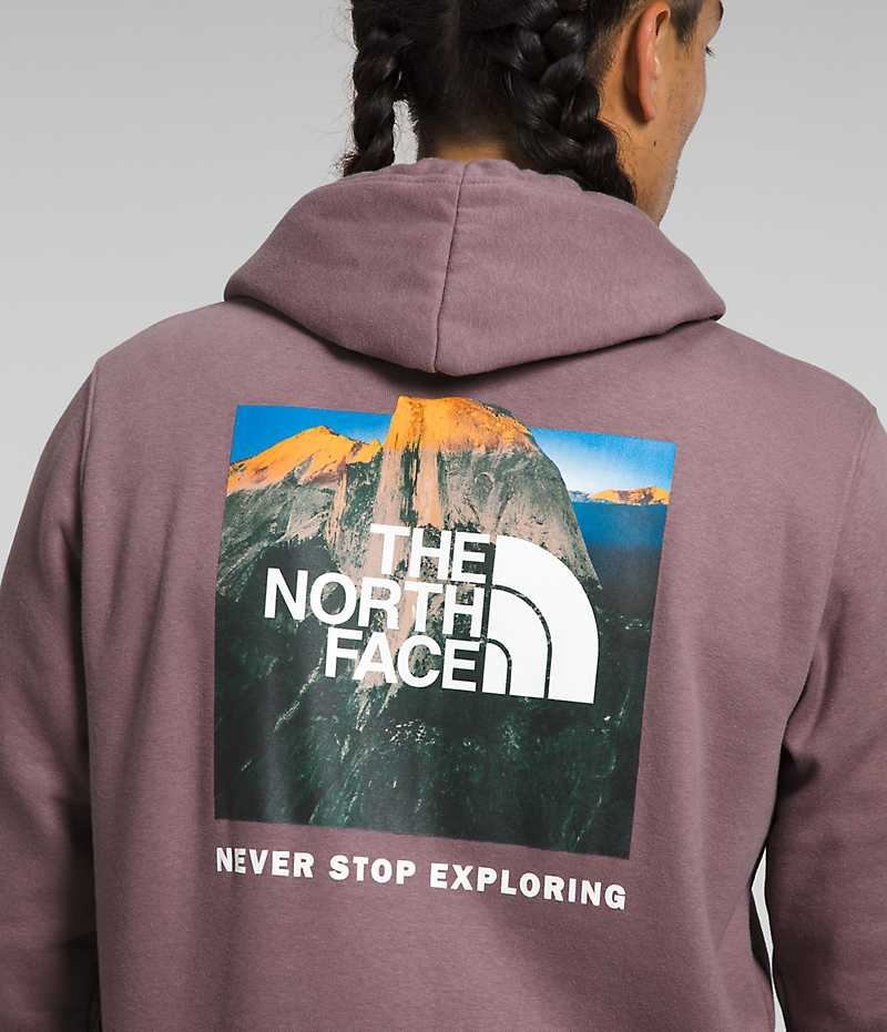 The North Face Box NSE Pullover Hættetrøje Herre Fuchsia | DK YCKXG