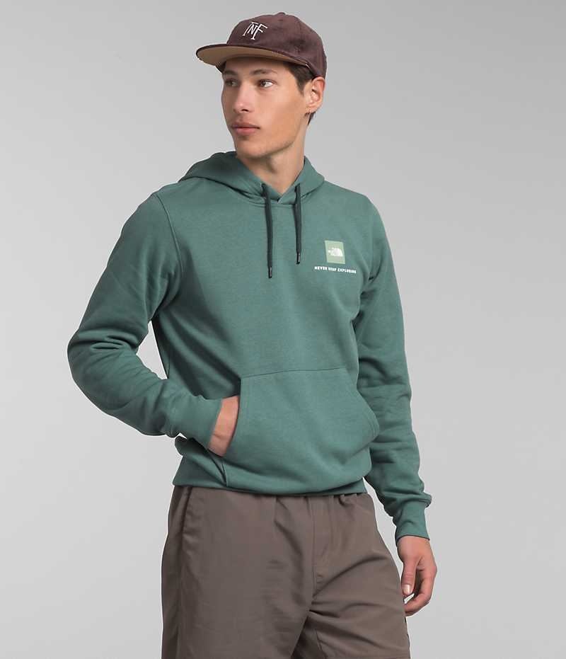 The North Face Box NSE Pullover Hættetrøje Herre Grøn | DANMARK VNGBQ