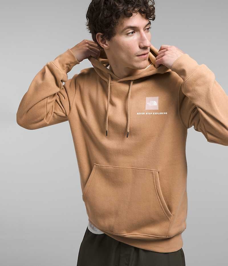 The North Face Box NSE Pullover Hættetrøje Herre Khaki | DANMARK QCKRH