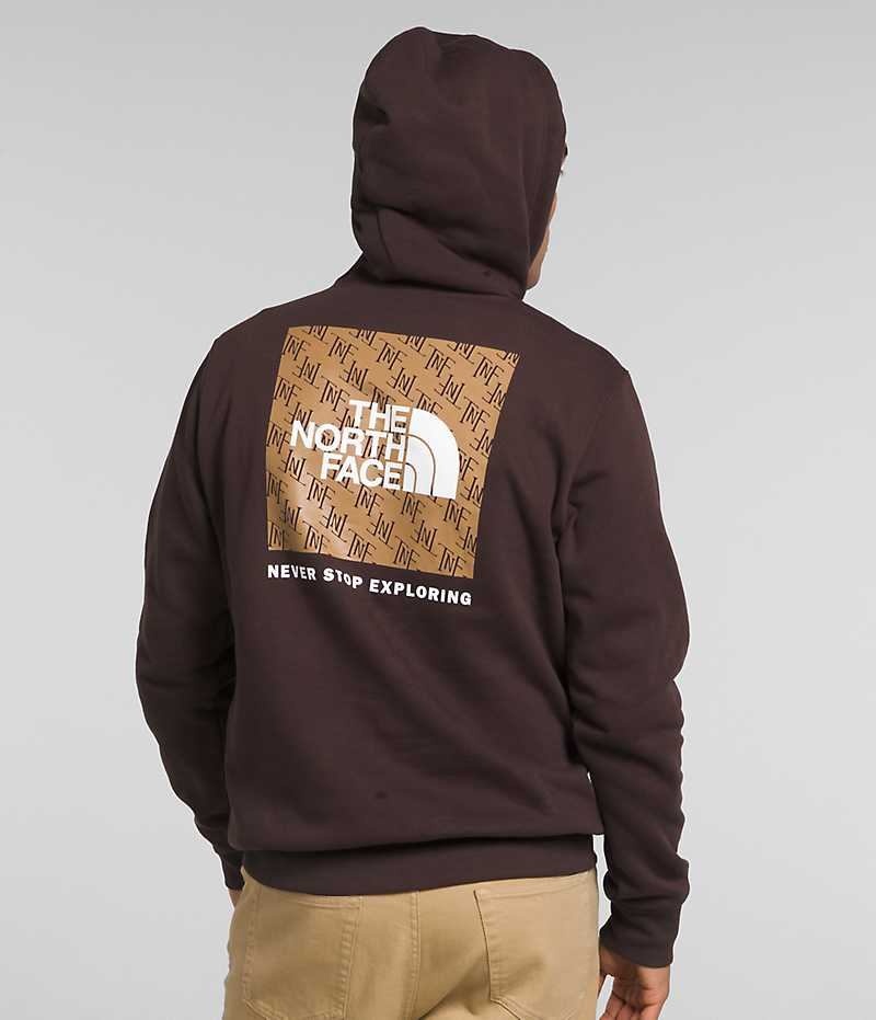 The North Face Box NSE Pullover Hættetrøje Herre Brune | DK ANSXQ