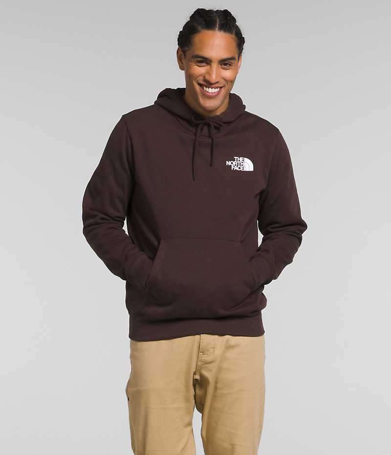 The North Face Box NSE Pullover Hættetrøje Herre Brune | DK ANSXQ