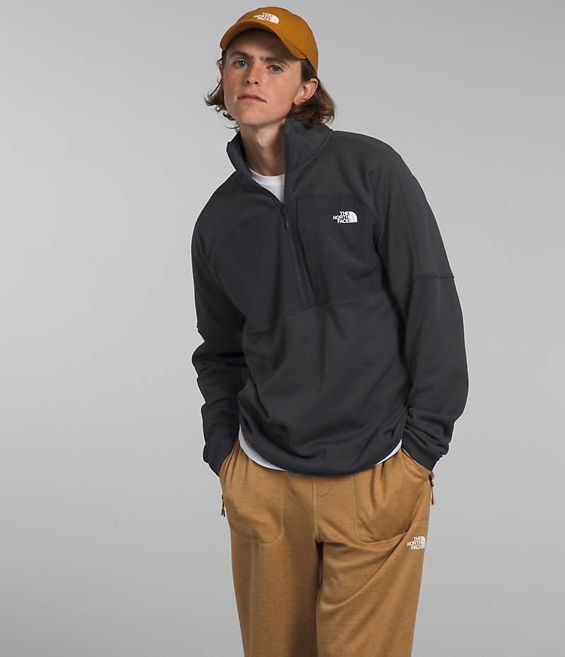 The North Face Canyonlands High Altitude ½-Zip Pullover Herre Grå | DANMARK EHGKP