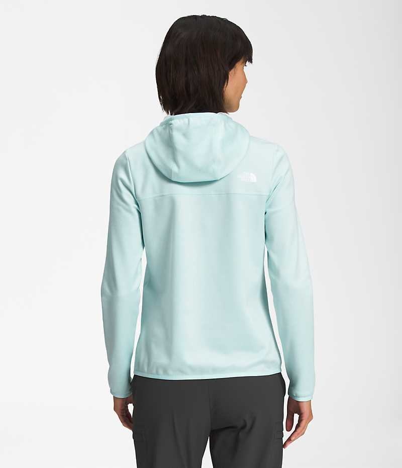 The North Face Canyonlands Hoodie Fleece Jakker Dame Lyseblå | DANMARK LCJKP