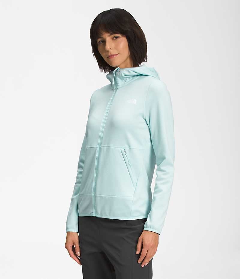 The North Face Canyonlands Hoodie Fleece Jakker Dame Lyseblå | DANMARK LCJKP