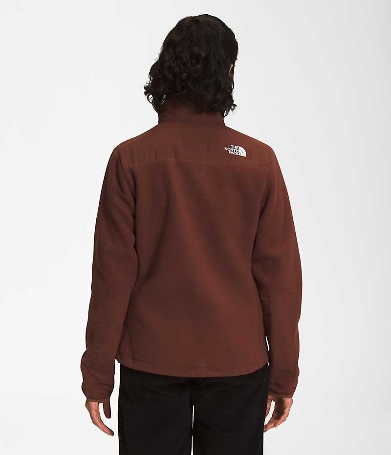 The North Face Denali Fleece Jakker Dame Brune | DANMARK URKHX