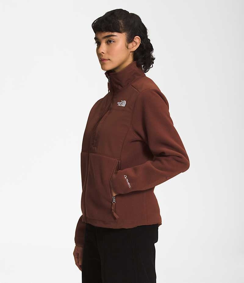 The North Face Denali Fleece Jakker Dame Brune | DANMARK URKHX