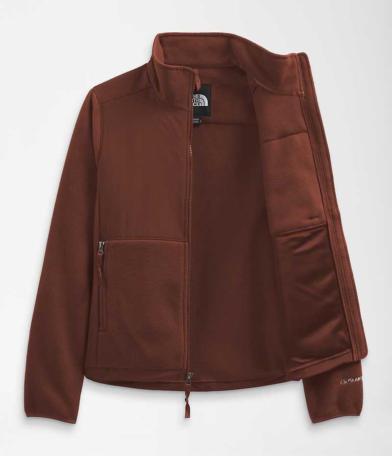 The North Face Denali Fleece Jakker Dame Brune | DANMARK URKHX