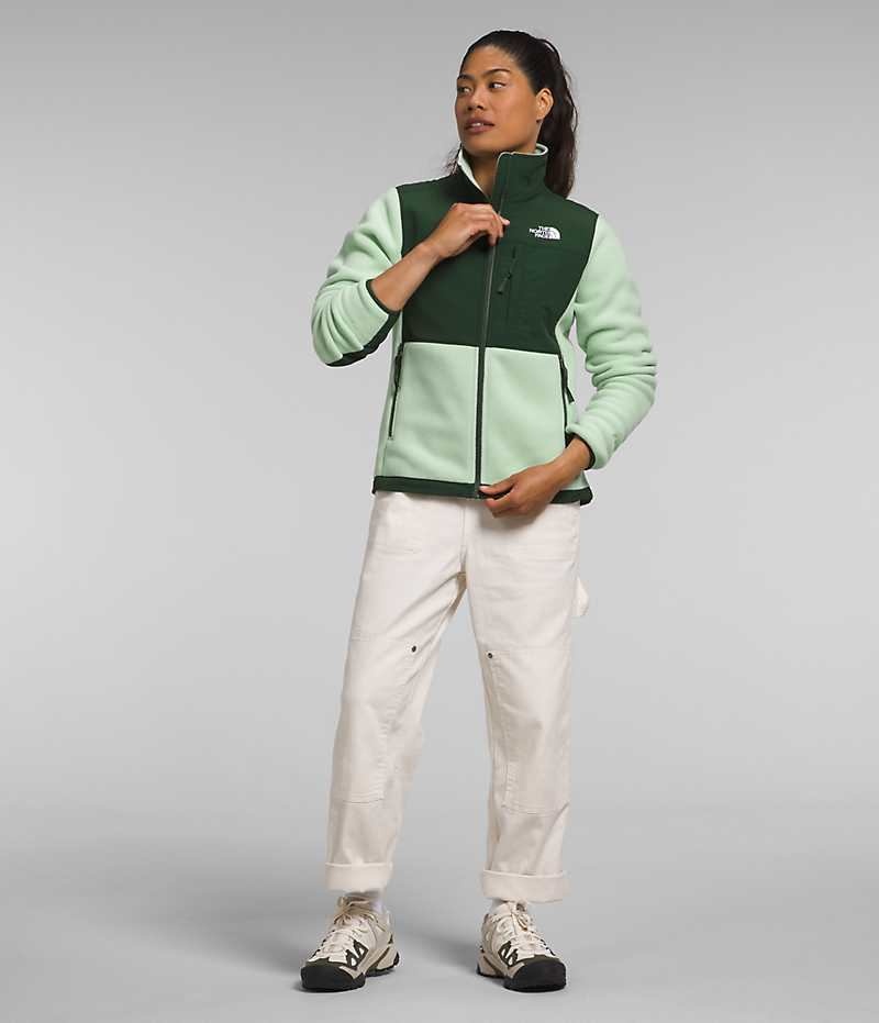 The North Face Denali Fleece Jakker Dame Grøn | DANMARK FRQMY