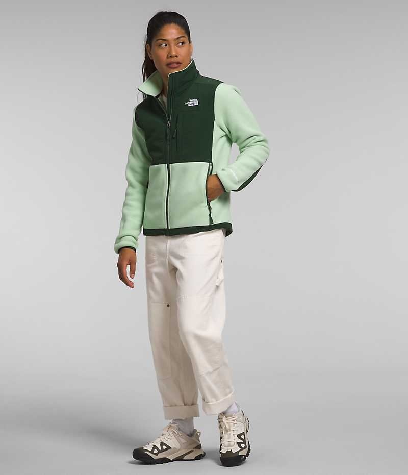 The North Face Denali Fleece Jakker Dame Grøn | DANMARK FRQMY