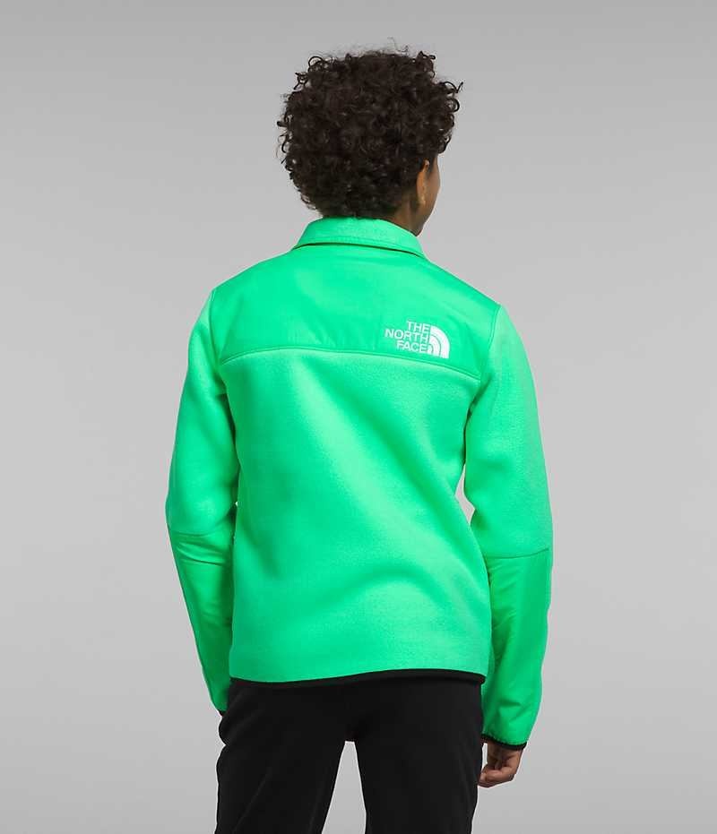 The North Face Denali Fleece Jakker Drenge Grøn | DK UZNJY