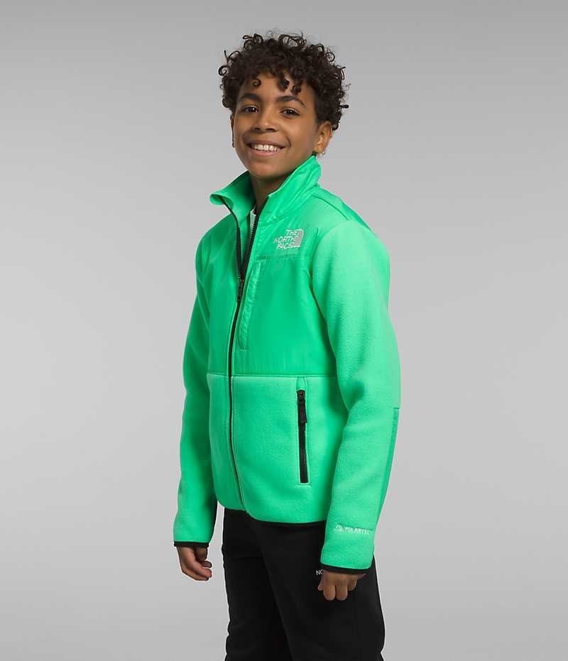 The North Face Denali Fleece Jakker Drenge Grøn | DK UZNJY