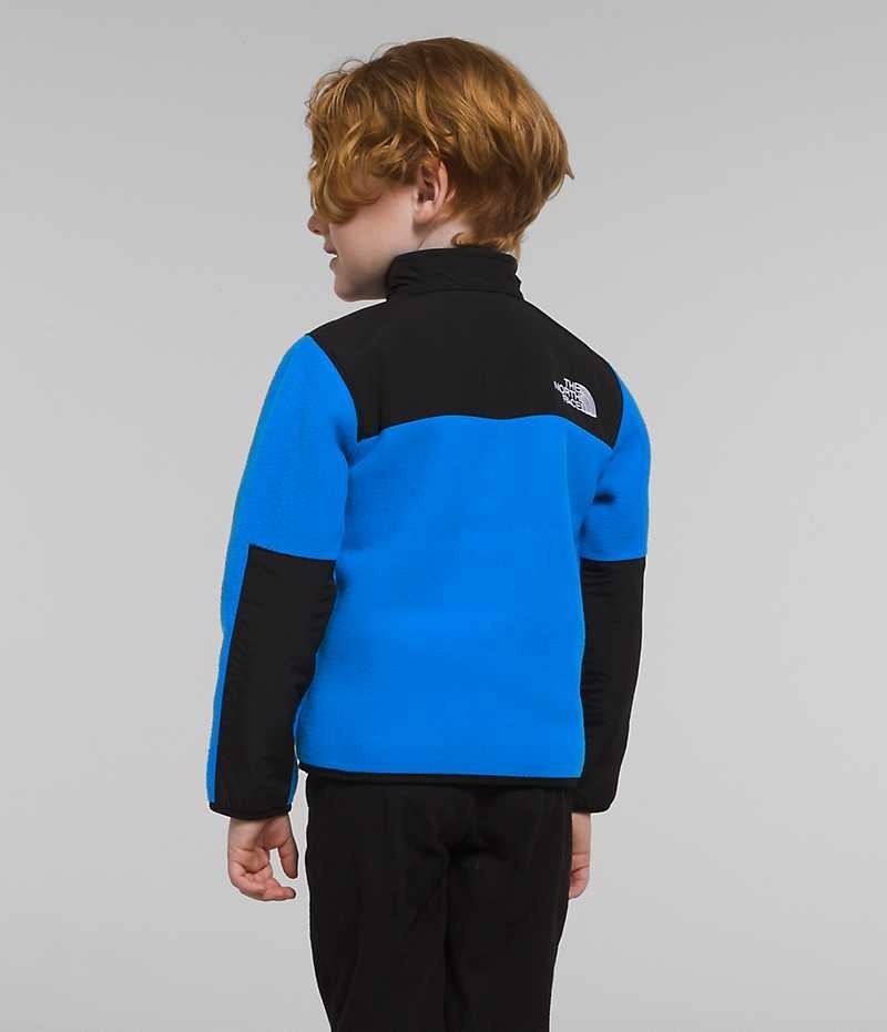 The North Face Denali Fleece Jakker Drenge Blå | DANMARK XURLA