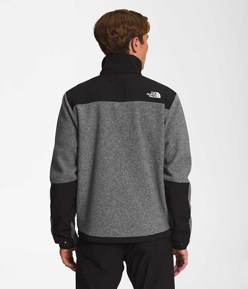 The North Face Denali Fleece Jakker Herre Grå | DK CFVQT