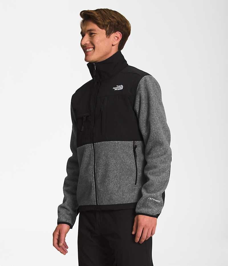 The North Face Denali Fleece Jakker Herre Grå | DK CFVQT