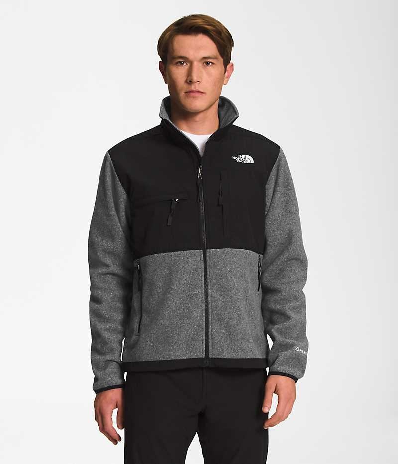 The North Face Denali Fleece Jakker Herre Grå | DK CFVQT