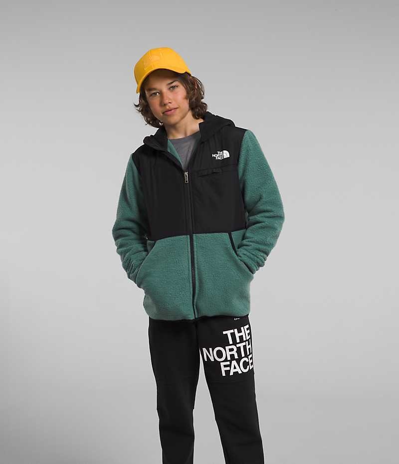 The North Face Forrest Full-Zip Hætte Fleece Jakker Drenge Grøn | DANMARK AVFGQ