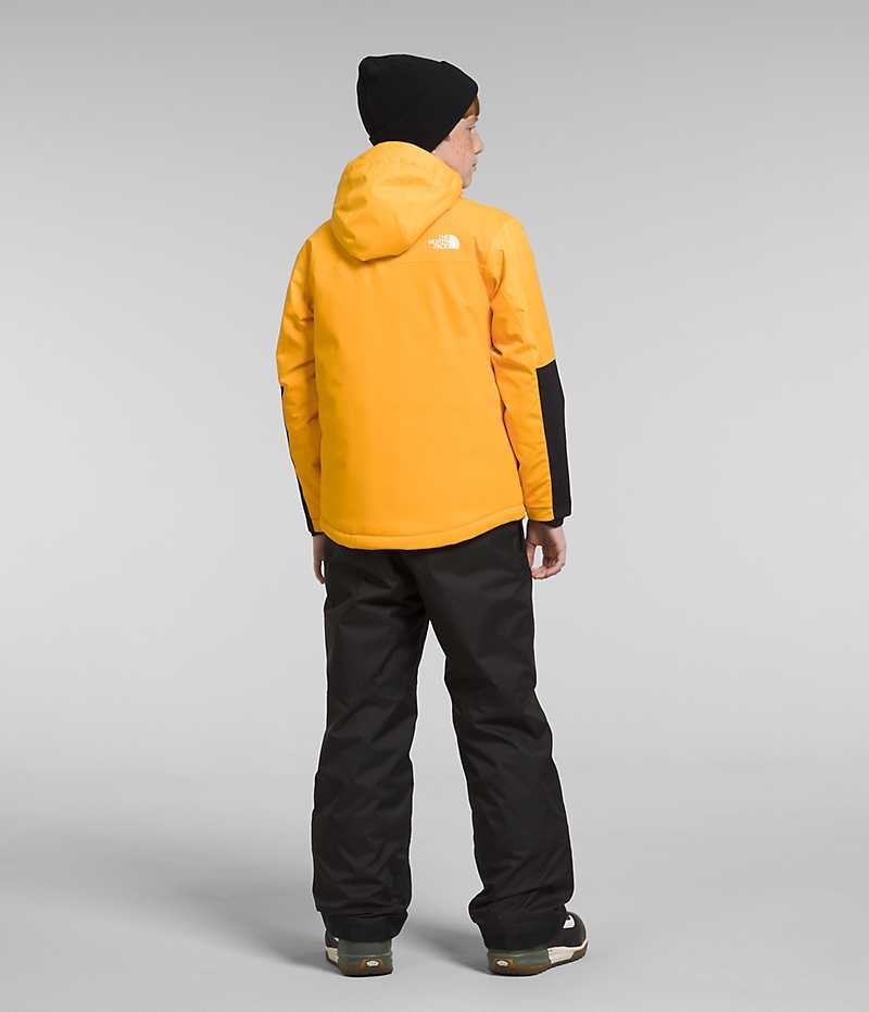 The North Face Freedom Extreme Isolerede Jakker Drenge Guld | DK TWLHA