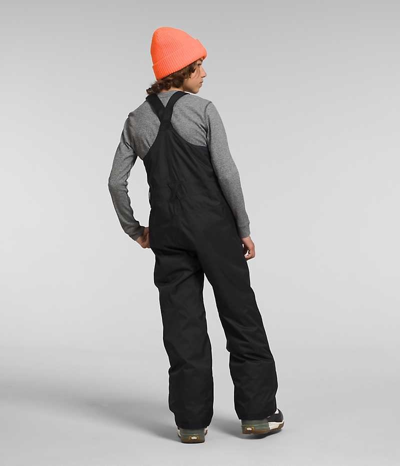 The North Face Freedom Insulated Smækbukser Drenge Sort | DK JRVQM