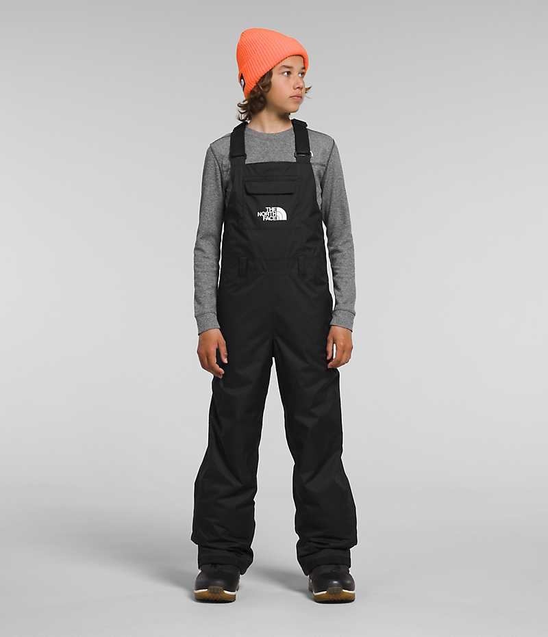 The North Face Freedom Insulated Smækbukser Drenge Sort | DK JRVQM