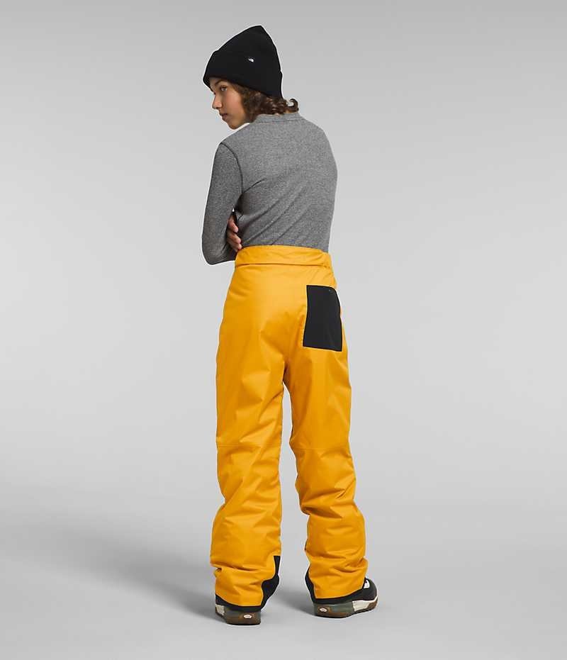 The North Face Freedom Isolerede Bukser Drenge Guld | DANMARK NUDZG