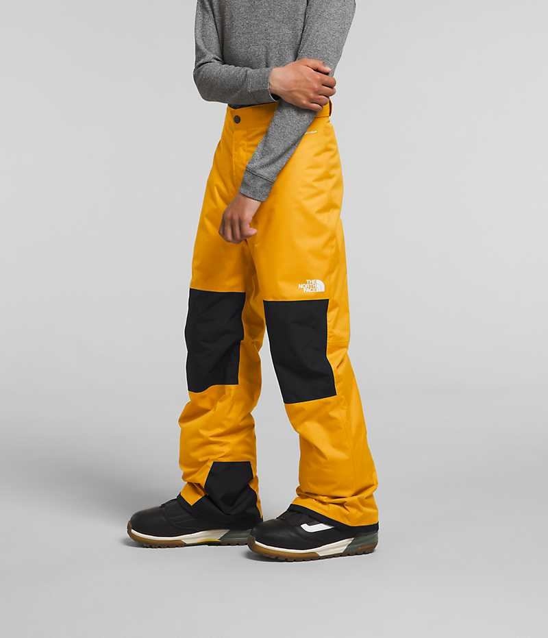 The North Face Freedom Isolerede Bukser Drenge Guld | DANMARK NUDZG