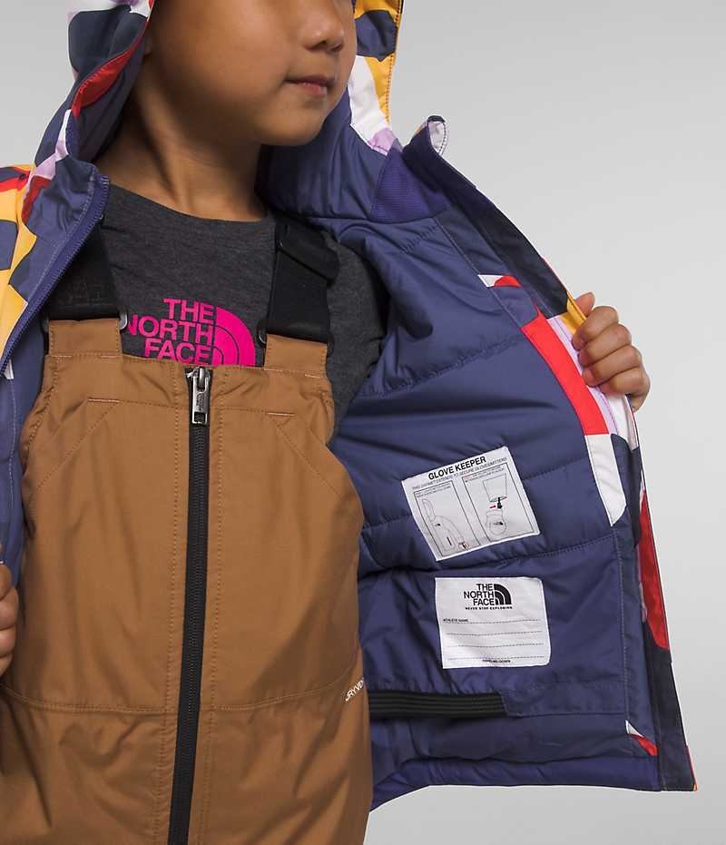 The North Face Freedom Isolerede Jakker Drenge Flerfarvede | DK RICUW