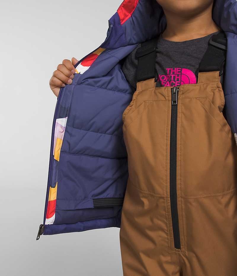 The North Face Freedom Isolerede Jakker Drenge Flerfarvede | DK RICUW