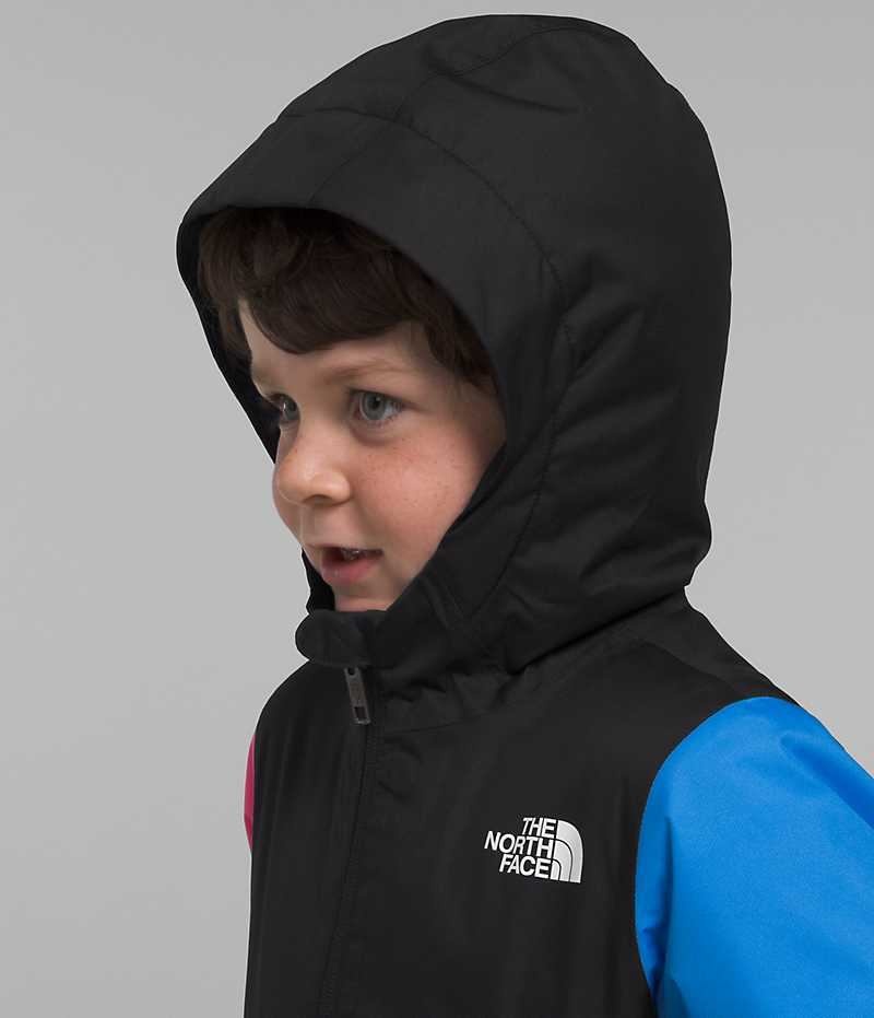 The North Face Freedom Isolerede Jakker Drenge Flerfarvede | DK OZGYK