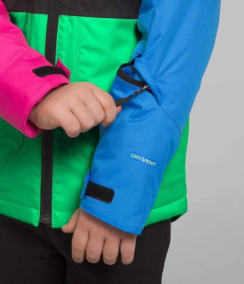 The North Face Freedom Isolerede Jakker Drenge Flerfarvede | DK OZGYK