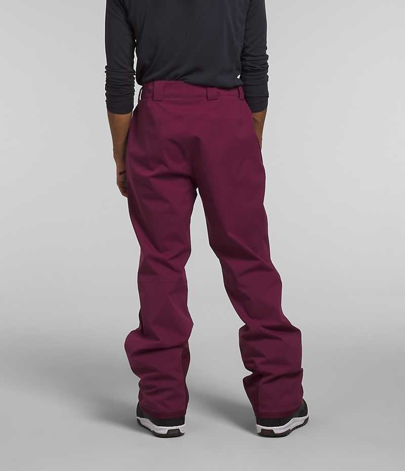 The North Face Freedom Stretch Bukser Herre Fuchsia | DANMARK QWEBK