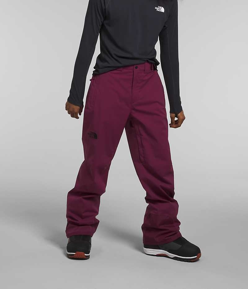 The North Face Freedom Stretch Bukser Herre Fuchsia | DANMARK QWEBK