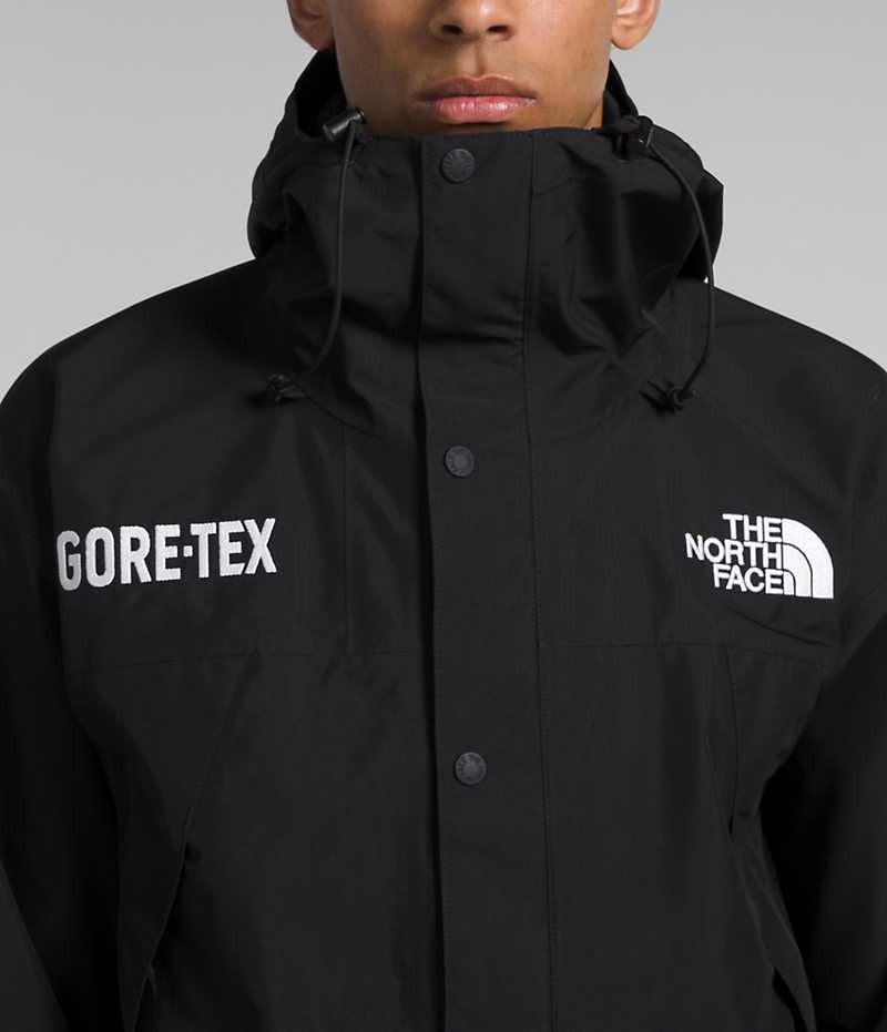 The North Face GTX Mountain Isolerede Jakker Herre Sort | DK CUEKJ