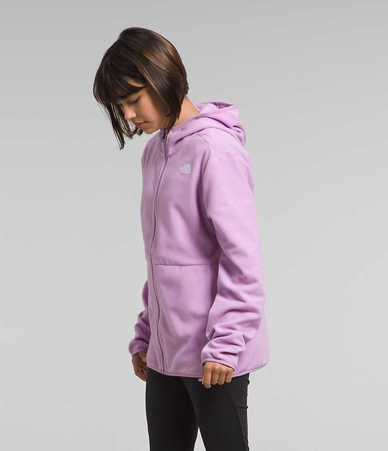 The North Face Glacier Full-Zip Hætte Fleece Jakker Pige Lavendel | DK WDNFT