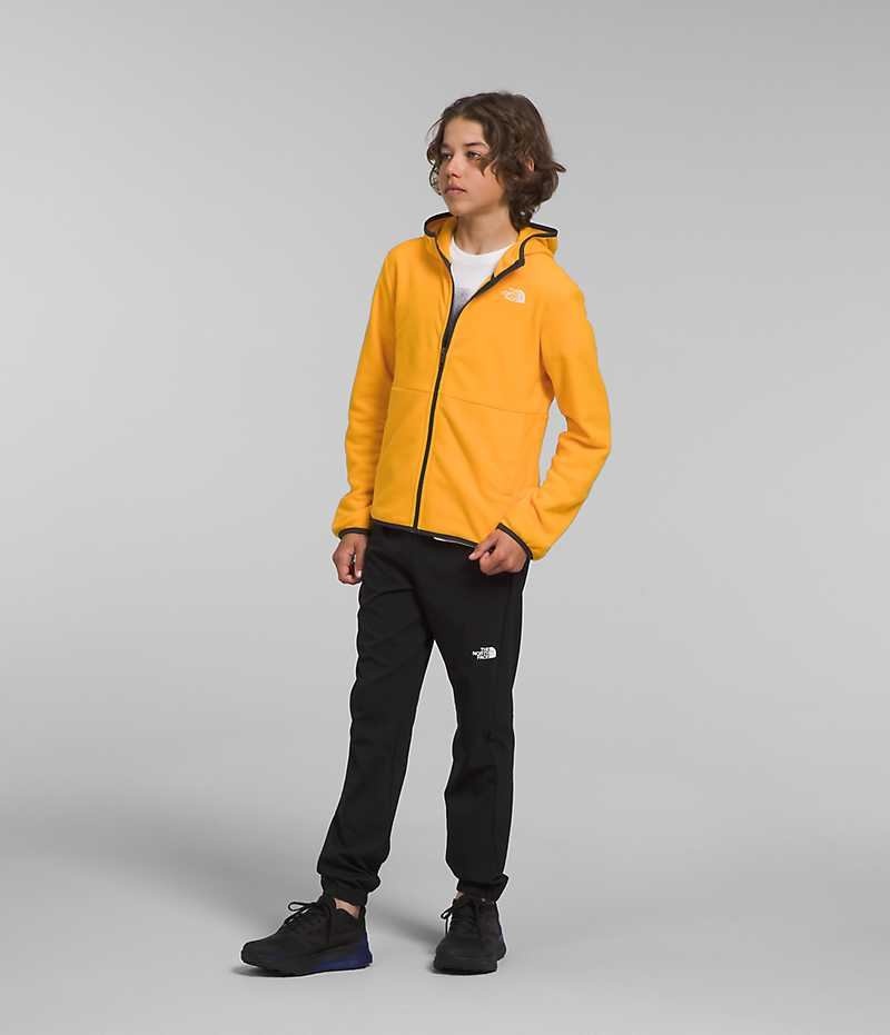 The North Face Glacier Full-Zip Hætte Fleece Jakker Drenge Guld | DANMARK JYHDZ