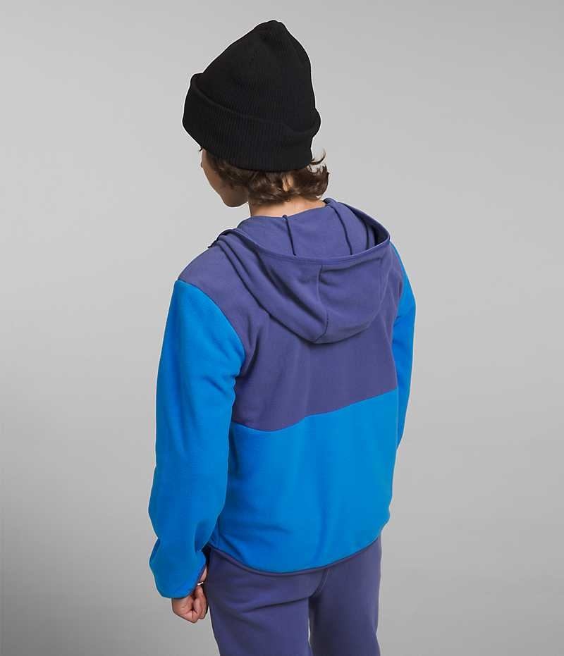 The North Face Glacier Full-Zip Hætte Fleece Jakker Drenge Blå | DK VMRIZ