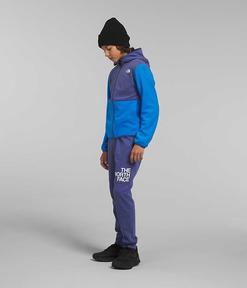 The North Face Glacier Full-Zip Hætte Fleece Jakker Drenge Blå | DK VMRIZ